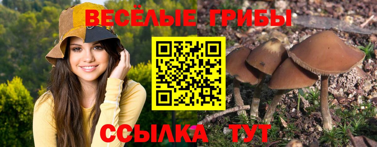Донской  Псилоцибиновые грибы мухоморы  дарнет шоп  Галлюциногенные грибы мухоморы  Вход с VPN 