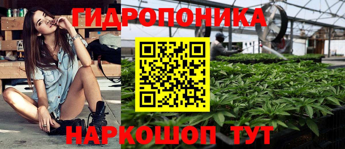 Конопля ГИДРОПОН  Марихуана Ganja  Донской  Марихуана планчик  Конопля план  Вход с VPN 